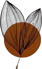 a drawing of a flower with a brown and white flower.jpg